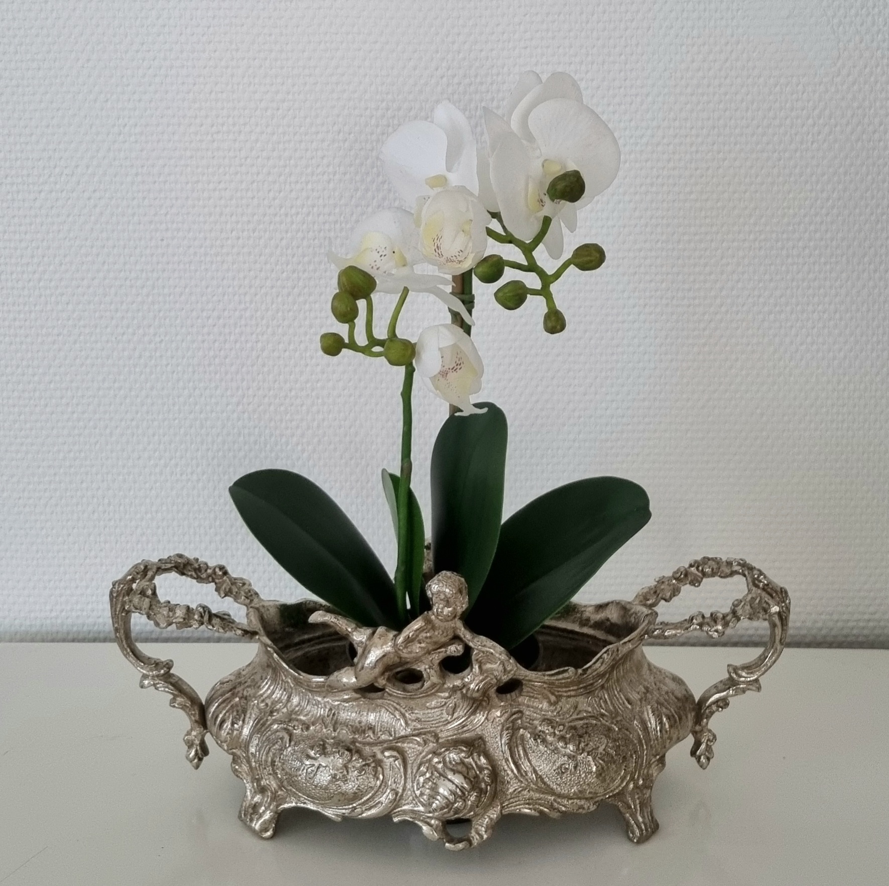 Orkidé hvid 2-grenet med flotte blomster