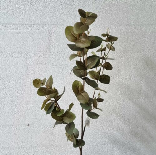 Eucalyptus 3-grenede