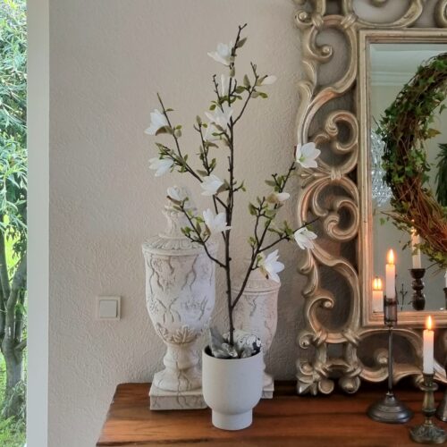 Skønt hvidt Magnolietræ med smukke blomster