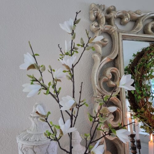 Smukt Magnolietræ med hvide blomster