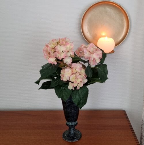 Smuk rosa Hortensia