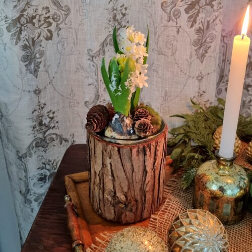 Planteglas / glasvase med kork udvendigt