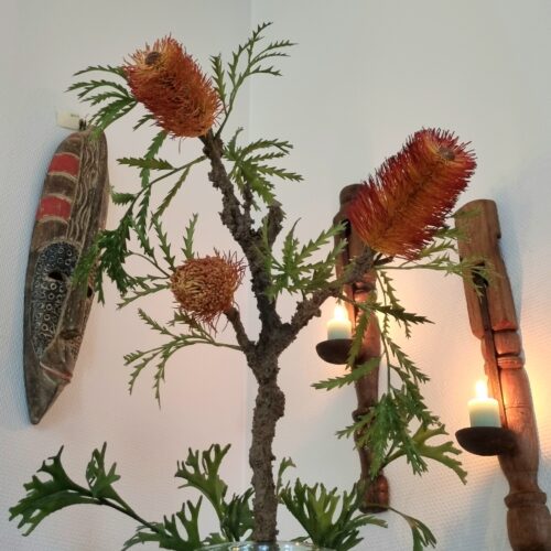 Banksia flergrenet stilk – flot rustik