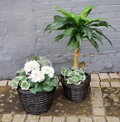 Smukke blomster i de sorte kurve