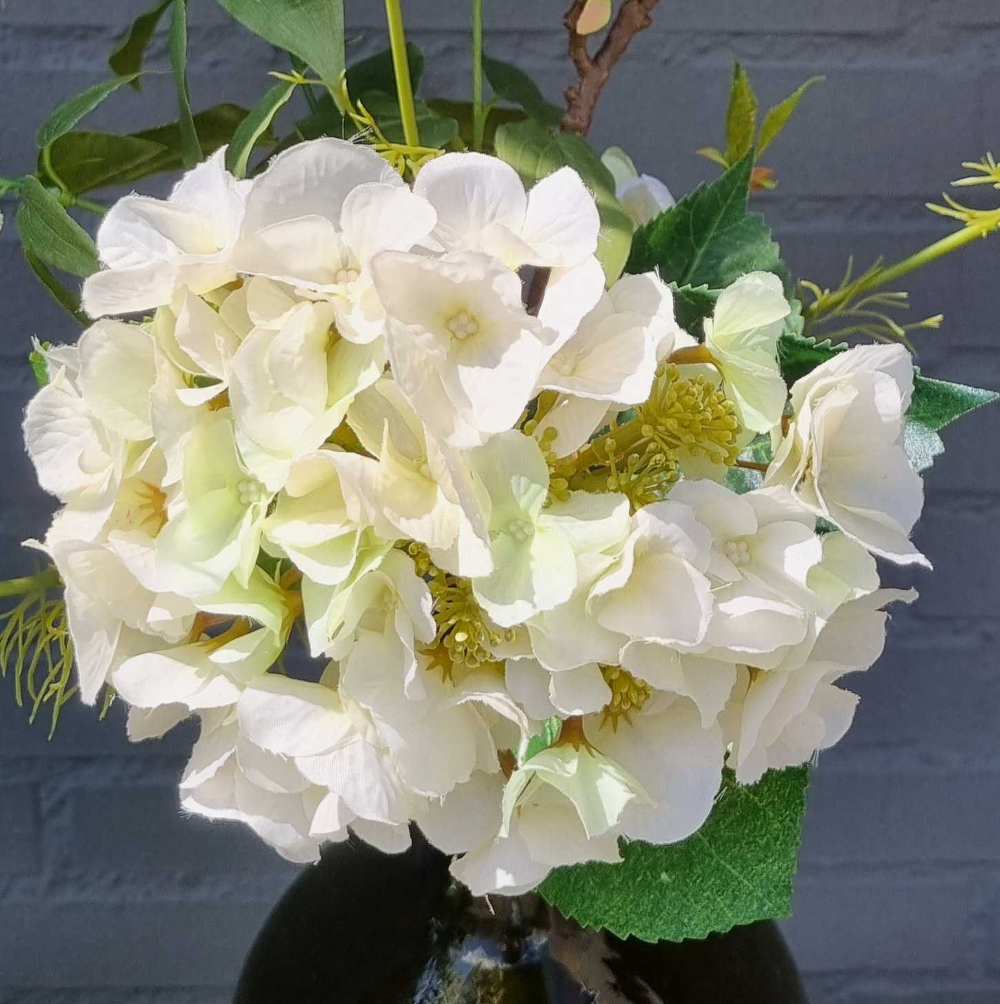Hortensia hvid - stort flot blomsterhoved