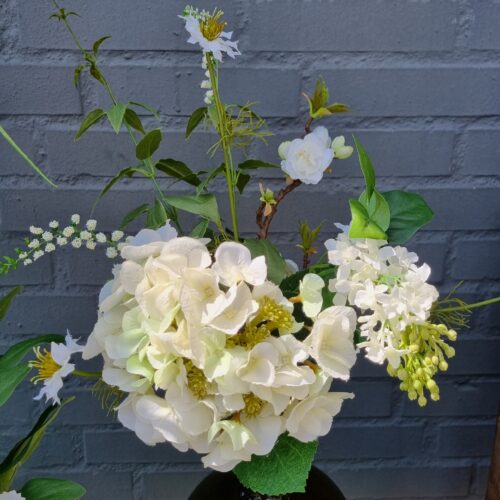 Hortensia hvid – stort flot blomster hoved