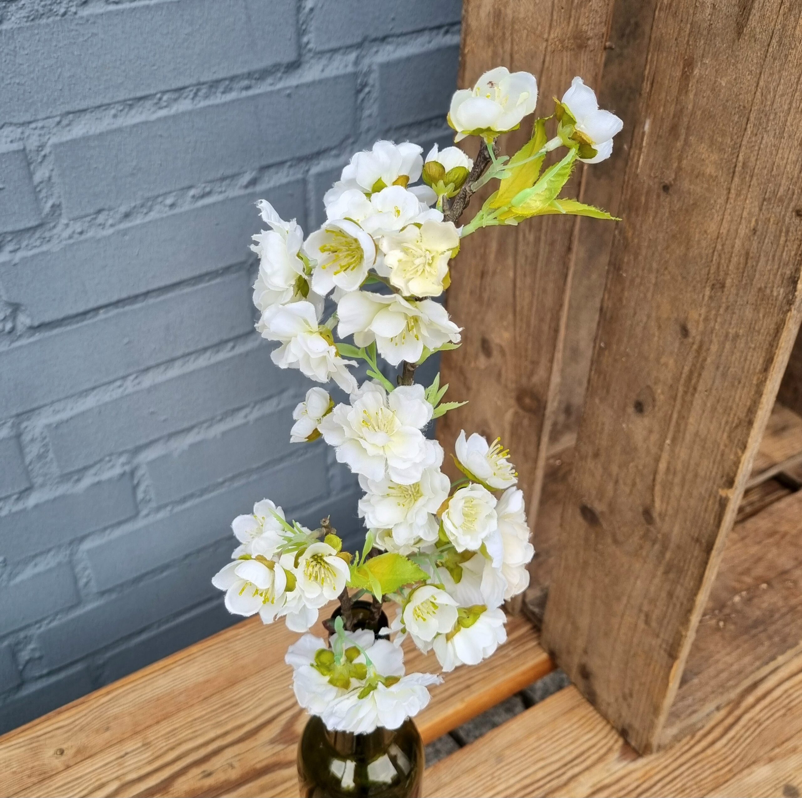 Kirsebærgren med hvide blomster