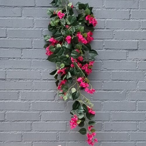 Bourgainvillea 115 cm stor pink blomsterstilk
