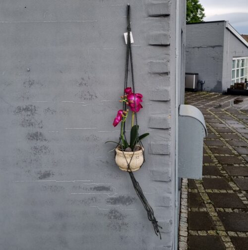 Planteophæng til potter