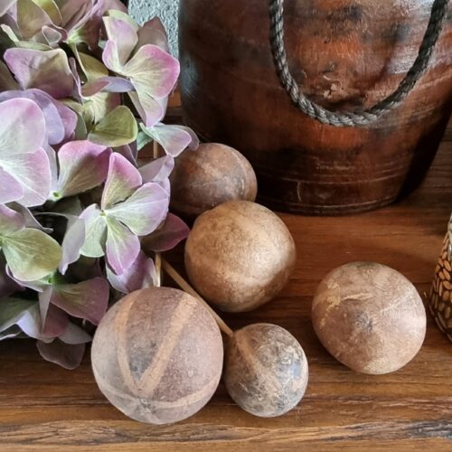 Zebra Pods dekorations gren – flot rustik