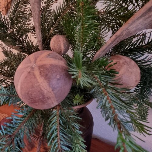 Zebra Pods dekorations gren – flot rustik