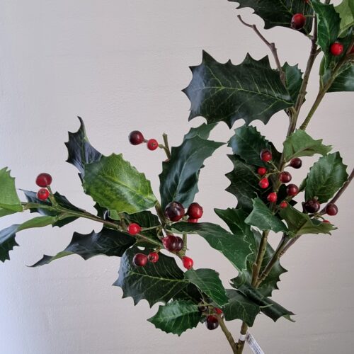Kristtorn gren med røde bær – stor og fyldig