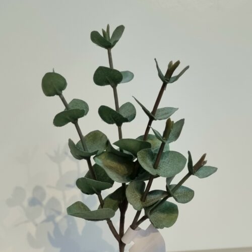 Eucalyptus flergrenet lys oliven farvet – flot fyldig