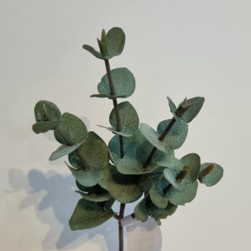 Eucalyptus flergrenet lys oliven farvet – flot fyldig