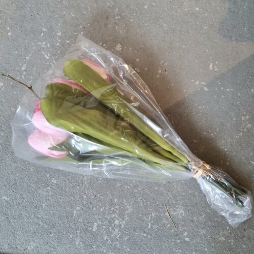 Smuk Tulipan buket – bundet og klar til vasen