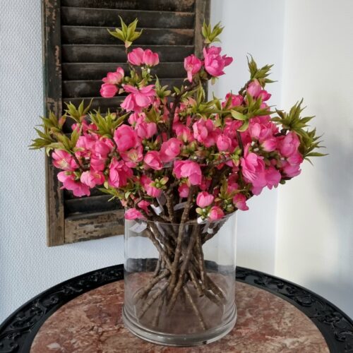 Æblegren med fine rosa blomster