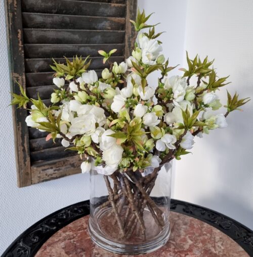 Smukke æblegrene med et væld af blomster