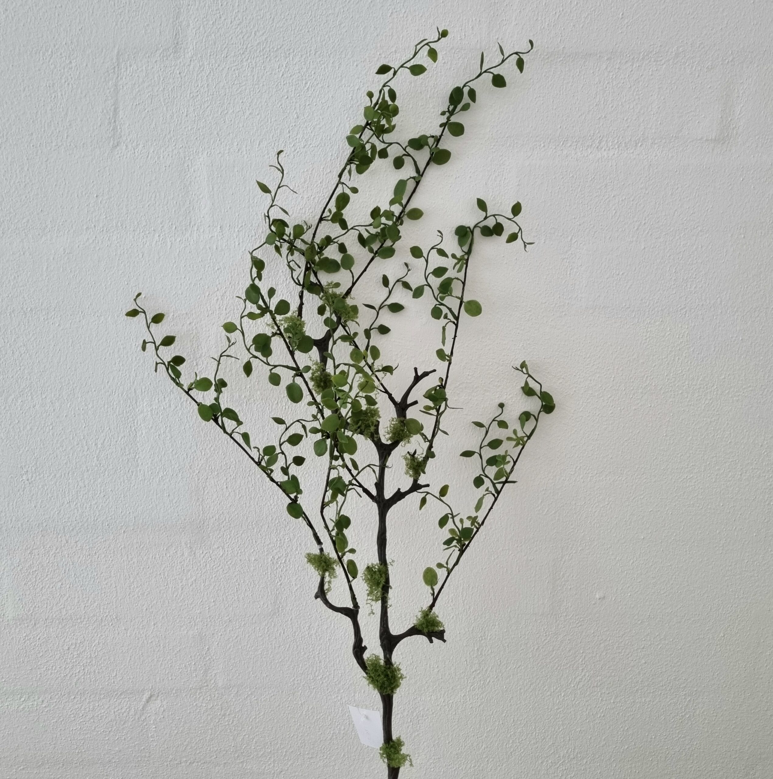 Pletter i luften - rustik flergrenet dekorationsgren