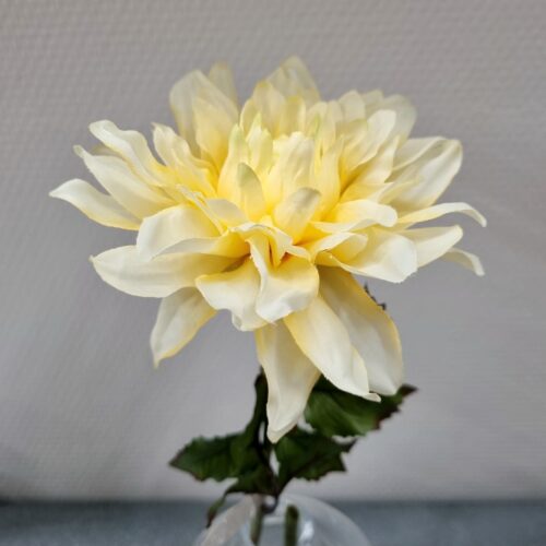 Dahlia fin pastelgul  – flot blomsterstilk