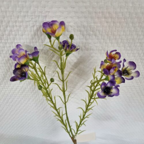Lilla Voksblomst – sød flergrenet
