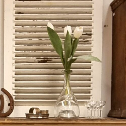 Smuk hvid Tulipan – fin og enkel