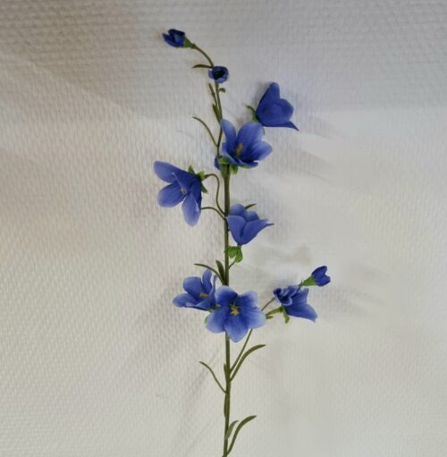 Blå Klokkeblomst med fine blomster