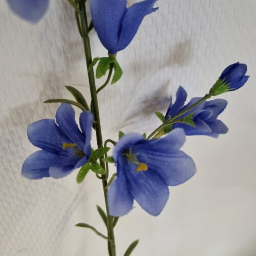 Blå Klokkeblomst med mange fine blomster