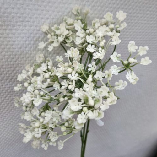 Allium flot hvid fyldig 2-grenet stilk