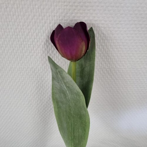 Smuk lilla Tulipan – fin og enkel
