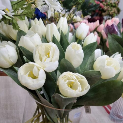 Smuk hvid Tulipan – fin og enkel