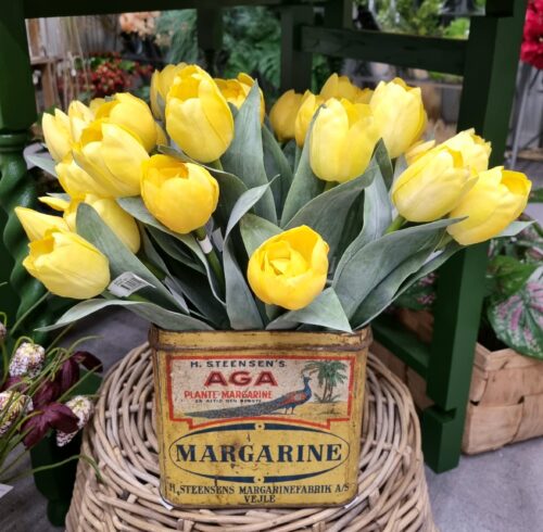 Smukke gule Tulipaner - fine og enkle