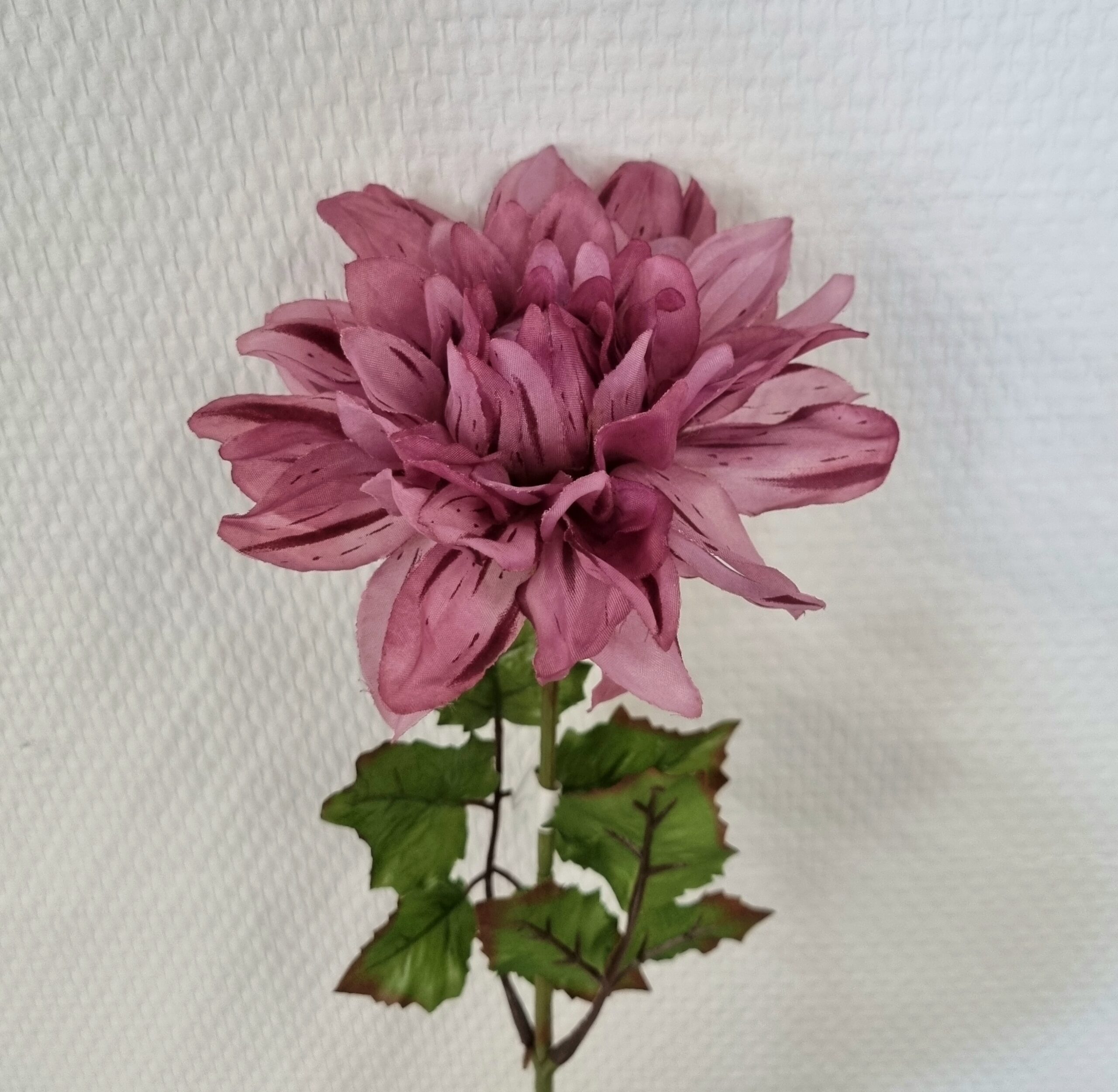 Dahlia fin lys lilla