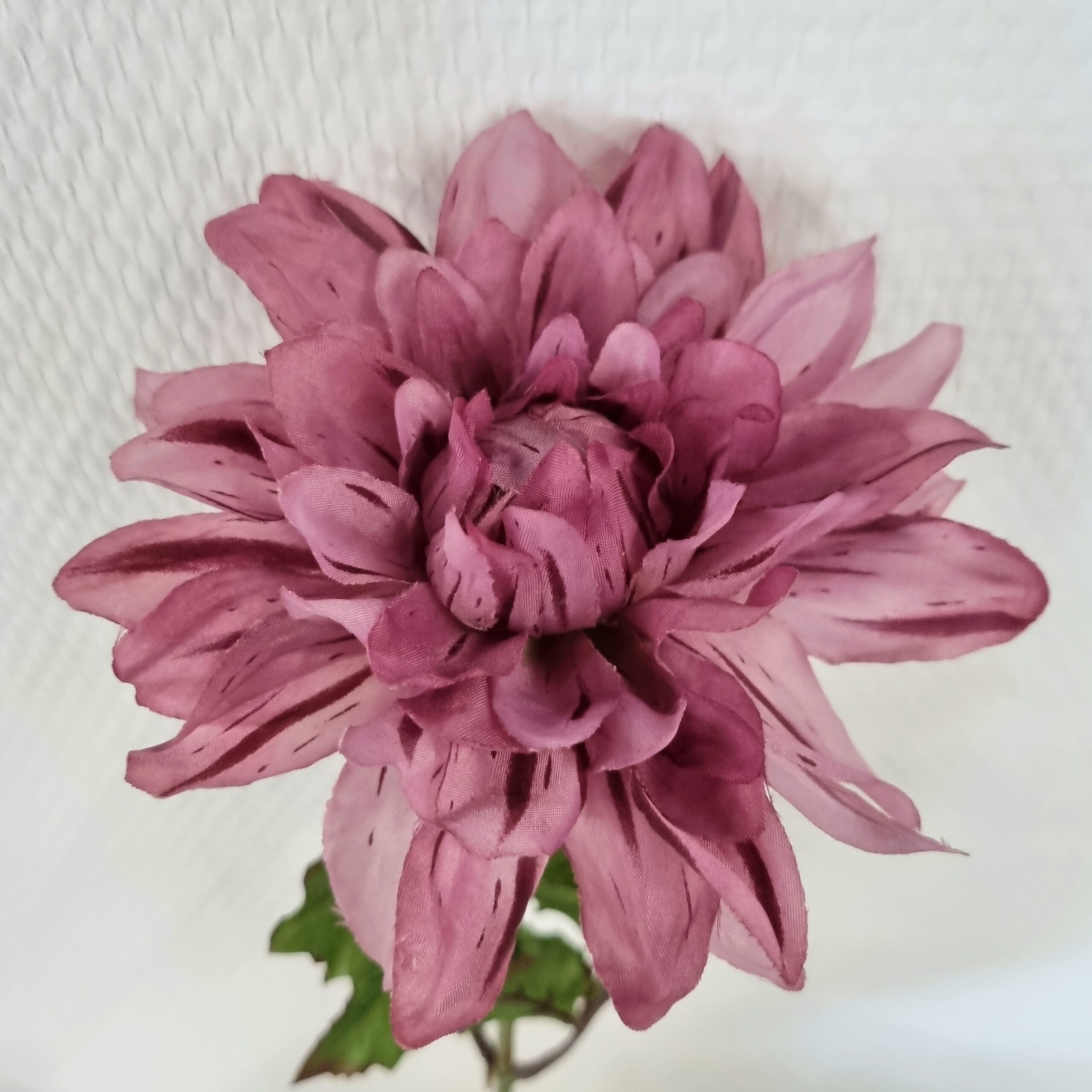 Dahlia fin lys lilla