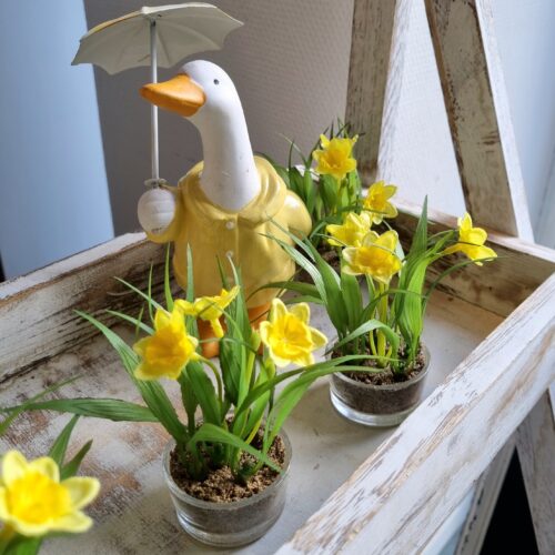 Påskeliljer i glaspotte – fine gule blomster