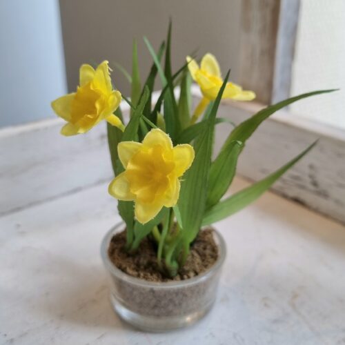 Påskeliljer i glaspotte – fine gule blomster