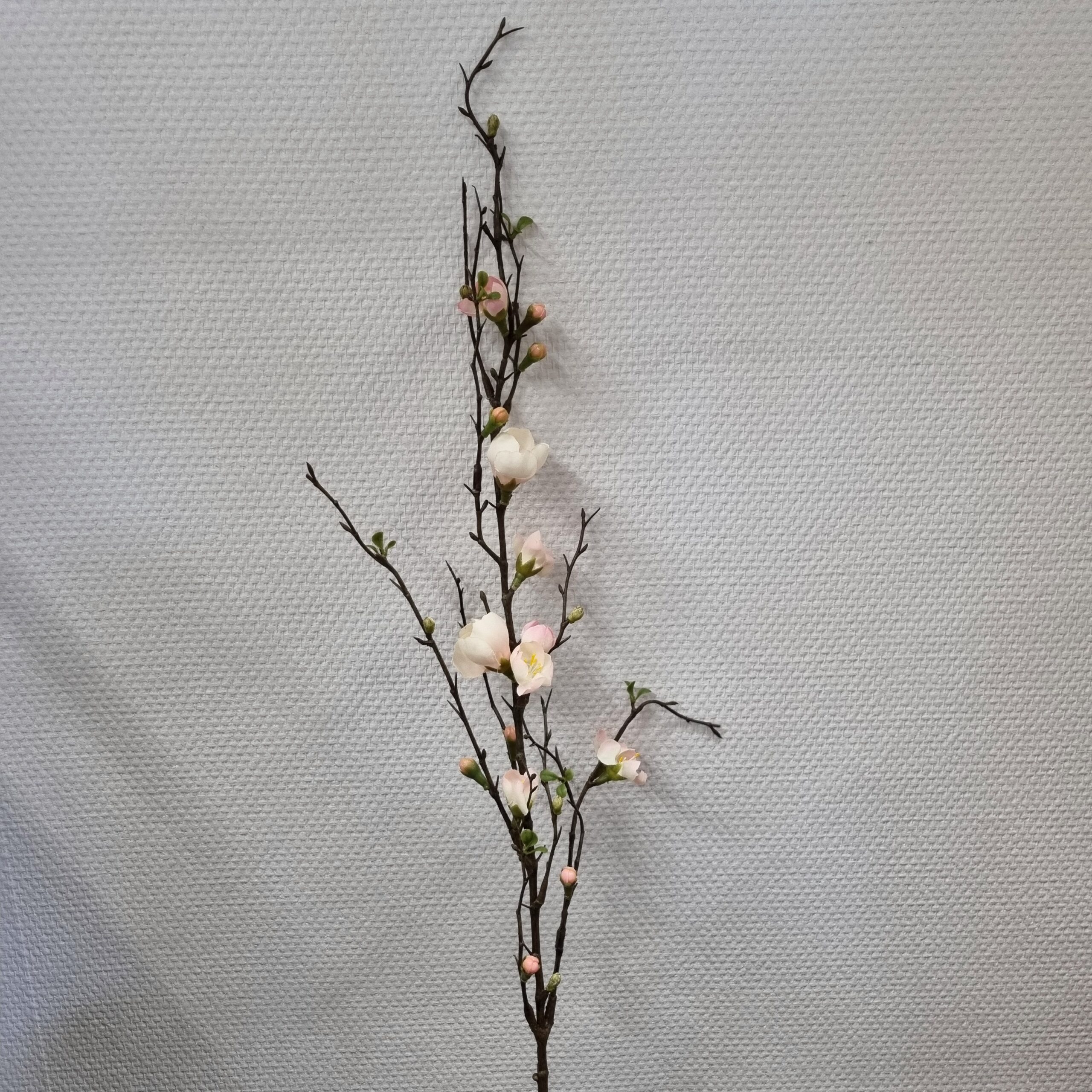 Stor æblegren med fine lyserøde blomster