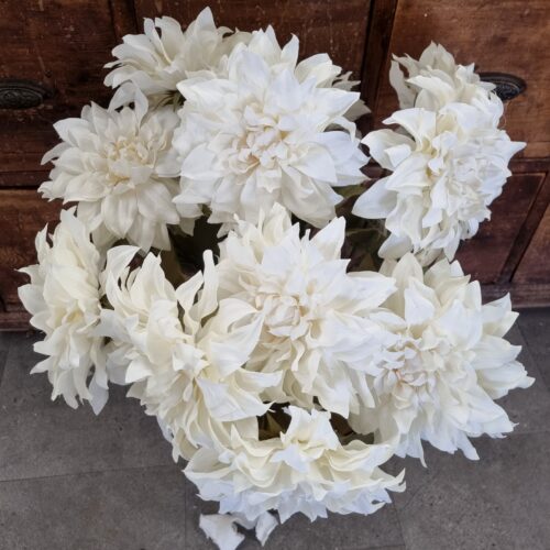 Stor hvid Dahlia