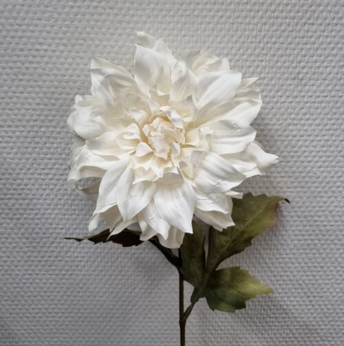 Stor hvid Dahlia
