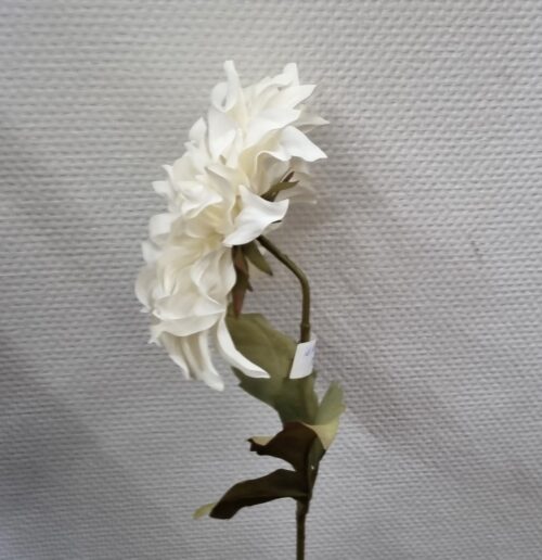 Stor hvid Dahlia