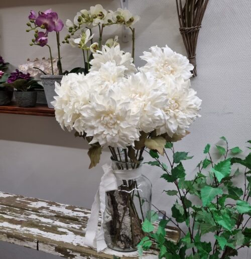 Smukke hvide Dahlia - kunstig tørret