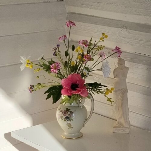 Anemone rosa med stort flot hoved – så smuk
