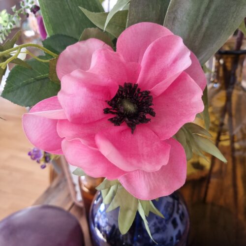 Anemone rosa med stort flot hoved – så smuk