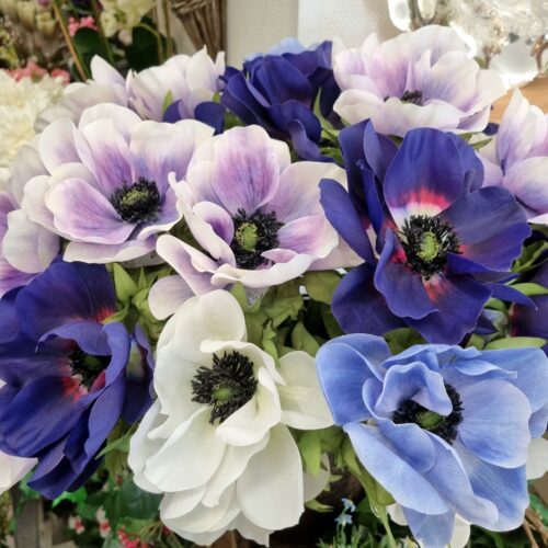Smukke Anemoner
