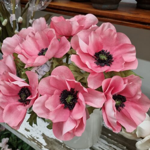 Anemone rosa med flot stort hoved