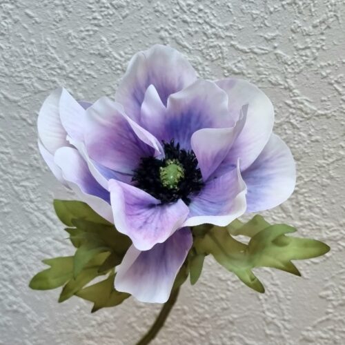 Anemone lys lilla med stort flot hoved – så smuk