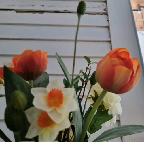 Smuk orange Tulipan