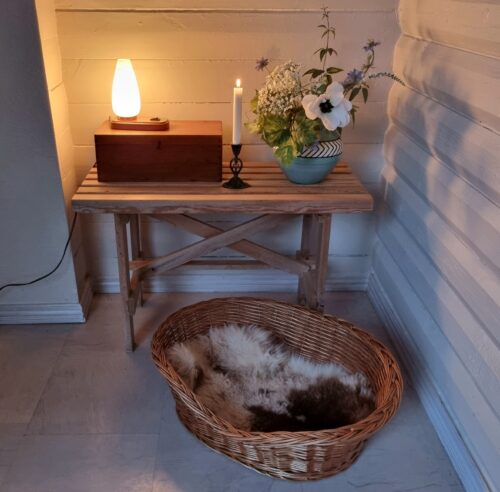Aftenstemning hos Frede...