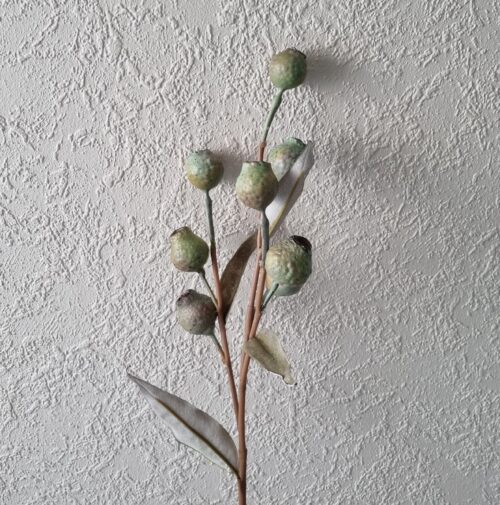 Eucalyptus bærgren