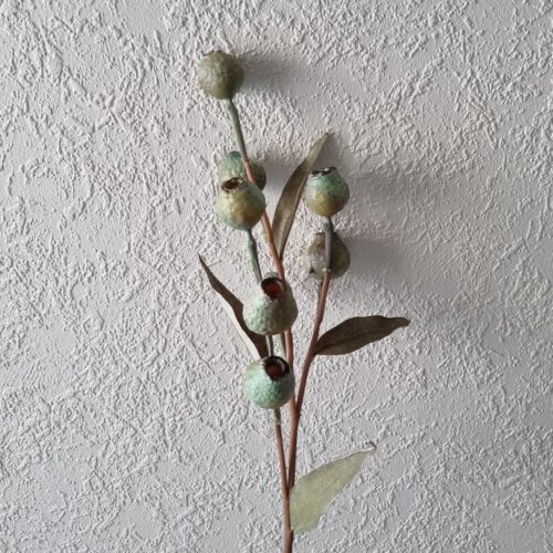 Eucalyptus bærgren – flot rustik og fyldig