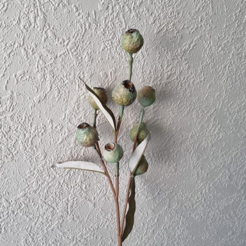 Eucalyptus bærgren – flot rustik og fyldig
